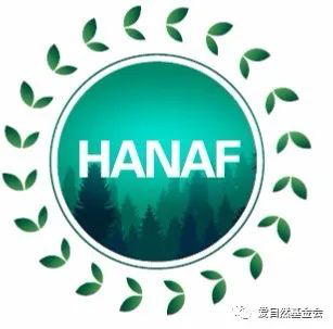 爱自然