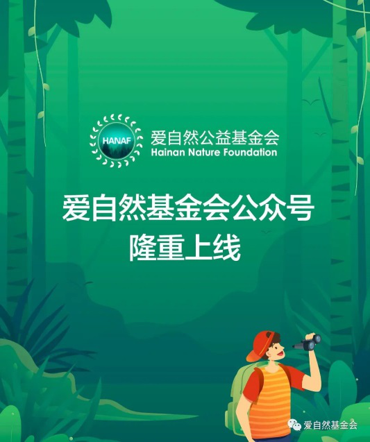 爱自然