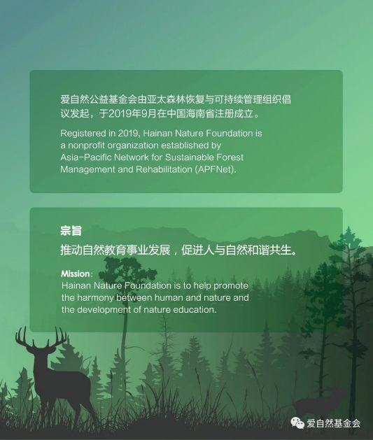 爱自然
